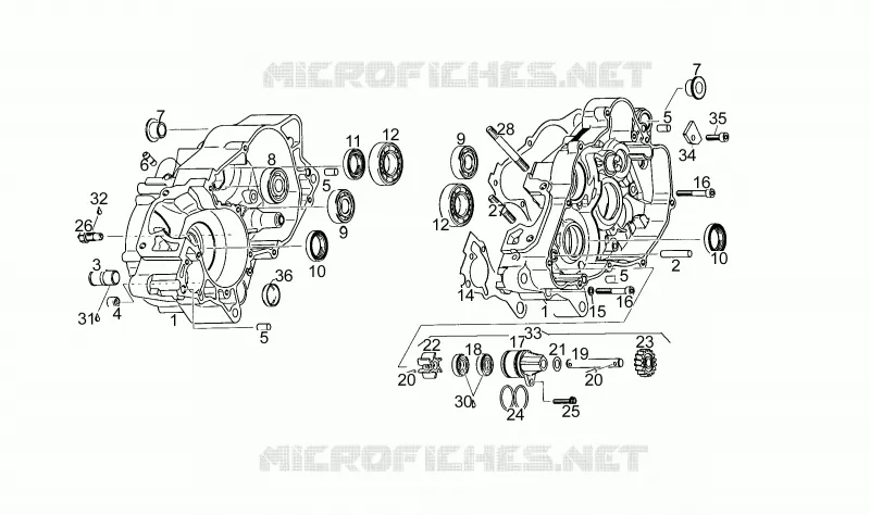 Cárter motor