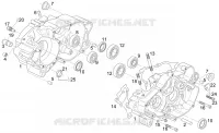 Cárter motor