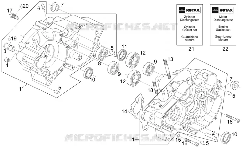 Cárter motor