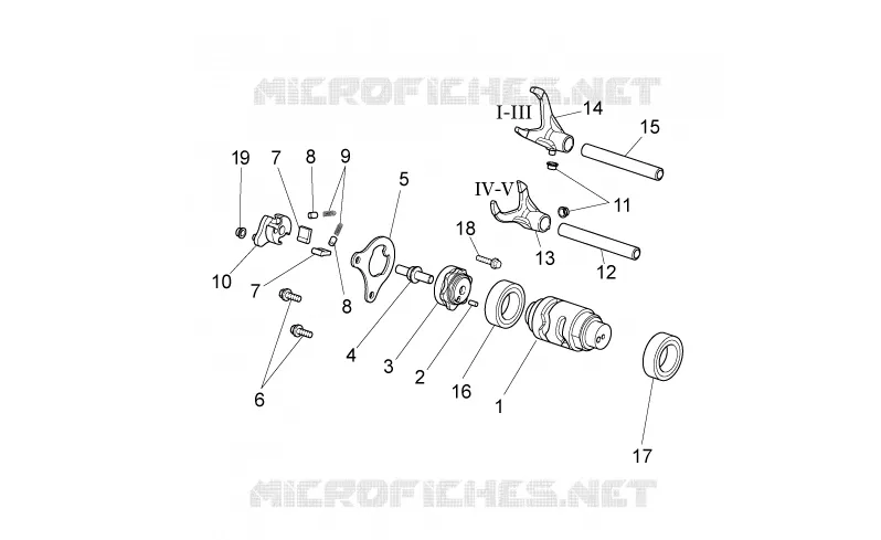 Selector cambio II