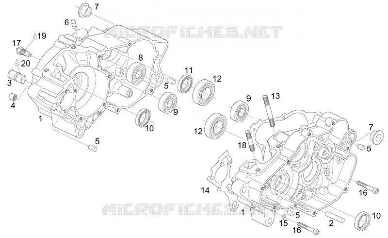 Cárter motor