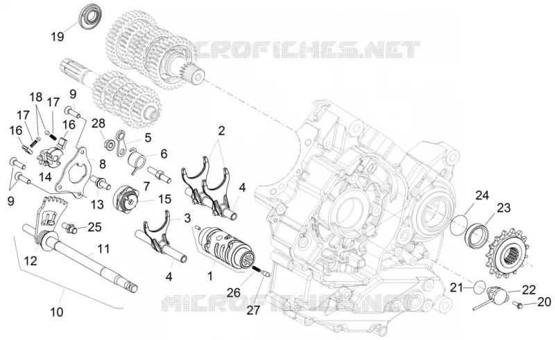 Selector cambio