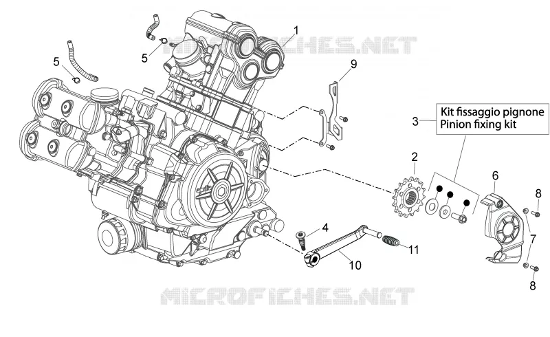 Motor