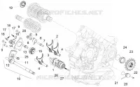 Selector cambio