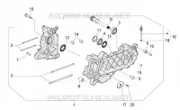 Cárter motor