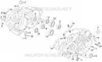 Cárter motor
