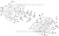 Cárter motor