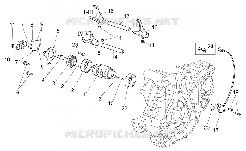 Selector cambio II