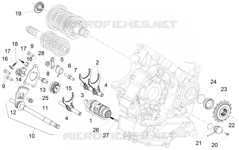 Selector cambio