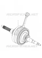 CIGUEÑAL