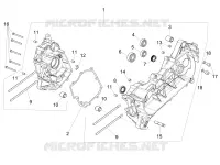 Cárter motor