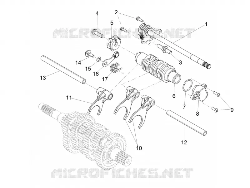 SELECTOR CAMBIO