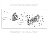 Cárter motor