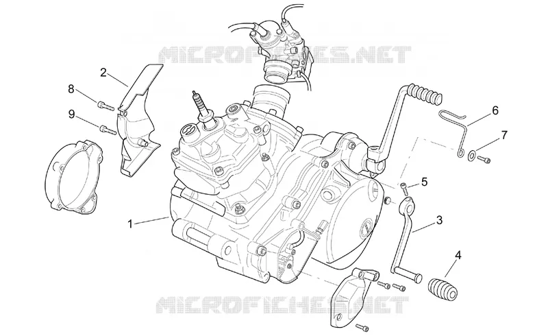 Motor