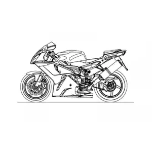 RSV 1000